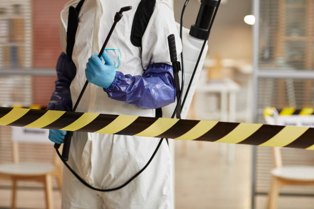 Professional Sewage Cleanup technician working in Bath, NH